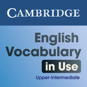 Vocabulary in Use Upper Int Vocabulary in Use Upper Int