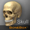 BoneBox™ – Skull Viewer BoneBox™ – Skull Viewer