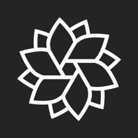 IMG.LY Photo & Video Editor