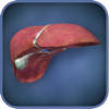 Liver Viewer Liver Viewer