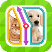 TicToc Pic: Cat or Dog Edition – Reaction Test Game