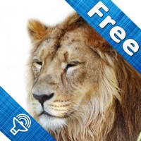 儿童动物园,动物声音和图片—丛林野生动物,农场宠物, 儿童学习,高清游戏,互动卡片