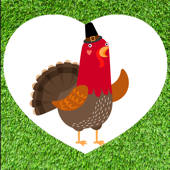 Veggie Grower Veggie Grower