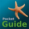 Pocket Guide UK Seashore Pocket Guide UK Seashore