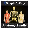 Anatomy Bundle by WAGmob
