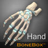 BoneBox™ – Hand BoneBox™ – Hand