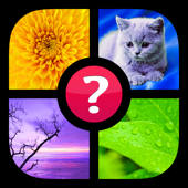Guess the Word! ~ Photo Quiz with Pics and Words