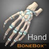 BoneBox™ – Hand Viewer BoneBox™ – Hand Viewer