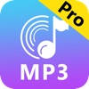Any MP3转换器