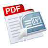 PDF-to-Word Pro