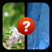 2 Pics 1 Word, What’s the Word? A photo guessing game. Test your IQ with the ultimate picture puzzle quiz! 2 Pics 1 Word, What’s the Word? A photo guessing game. Test your IQ with the ultimate picture puzzle quiz!