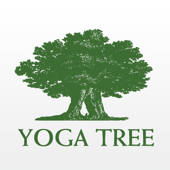 Yoga Tree SF Yoga Tree SF