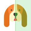 DoggyApp – Identify Dog Breeds