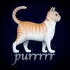 猫purr模拟器