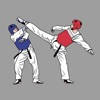 AI Taekwondo Coach