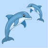 Save the dolphins