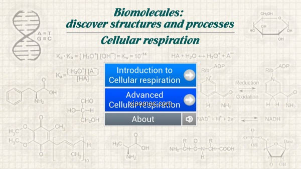 【图】Biomolecules: Cell respiration(截图1)
