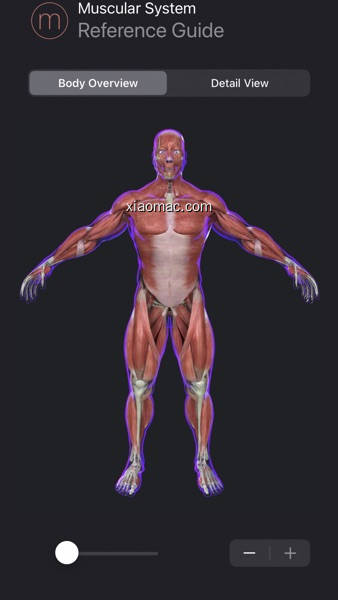 【图】Human Anatomy Study Guide(截图2)