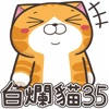白爛貓35 致敬篇 白爛貓35 致敬篇