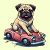 Funny Cartoon Pug Funny Cartoon Pug