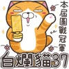 白爛貓37 超重鹹 白爛貓37 超重鹹