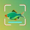 Fish ID – Fish Identifier