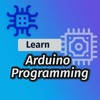 Learn Arduino Programming Pro