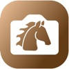 EquiCapture EquiCapture
