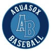 AquaSox Baseball