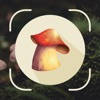 Mushrooms – Auto AI Identifier