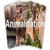 Animalization