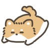 移动吉娃娃
