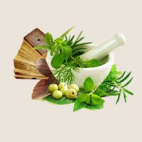 Ayurvedic Remedies – Treatment – Herbs