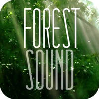 FOREST SOUND – Sound Therapy