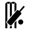 Cricketer Stickers Cricketer Stickers