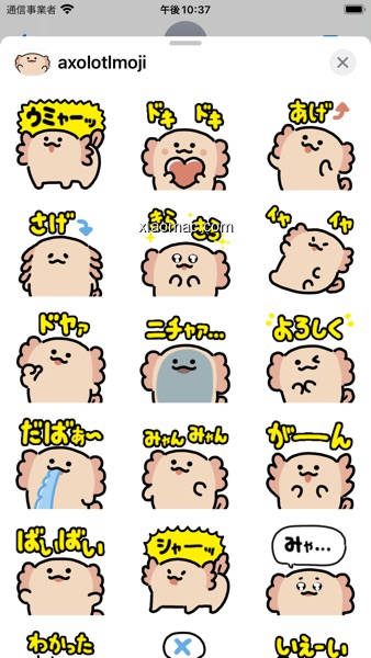 【图】axolotl moji sticker(截图2)