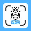Insekten Scanner Pro