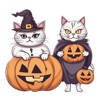 Cat Halloween 2023