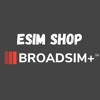 BroadSim+