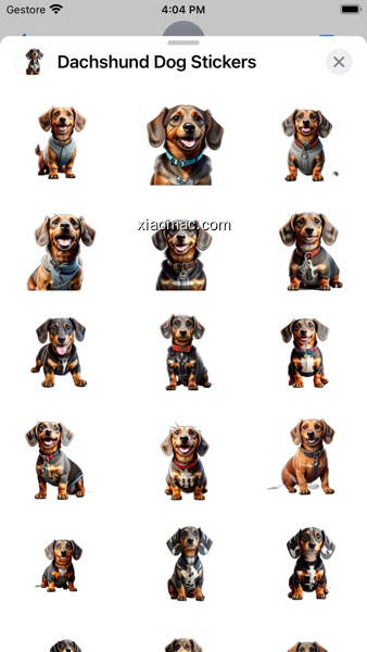 【图】Dachshund Dog Stickers(截图1)