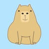 Cute Capybara Expressions