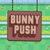 Bunny Push