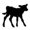 Calf Stickers Calf Stickers