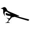 Magpie Stickers Magpie Stickers