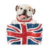 British Bulldog Stickers British Bulldog Stickers