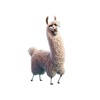 Loopy Llama Stickers