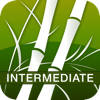 Human Japanese Intermediate
