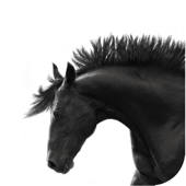 Horse Illustrated Magazine