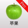 宝宝卡片-双语大百科 宝宝卡片-双语大百科