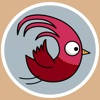 Birdie’s adventure 飛鳥歷奇 Birdie’s adventure 飛鳥歷奇